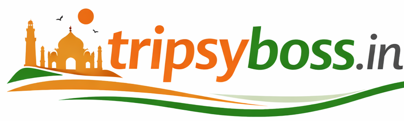 BOSS HYBRID COMMERCE